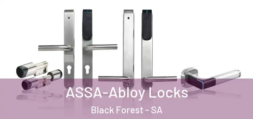 ASSA-Abloy Locks Black Forest - SA