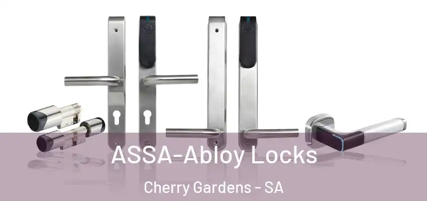 ASSA-Abloy Locks Cherry Gardens - SA