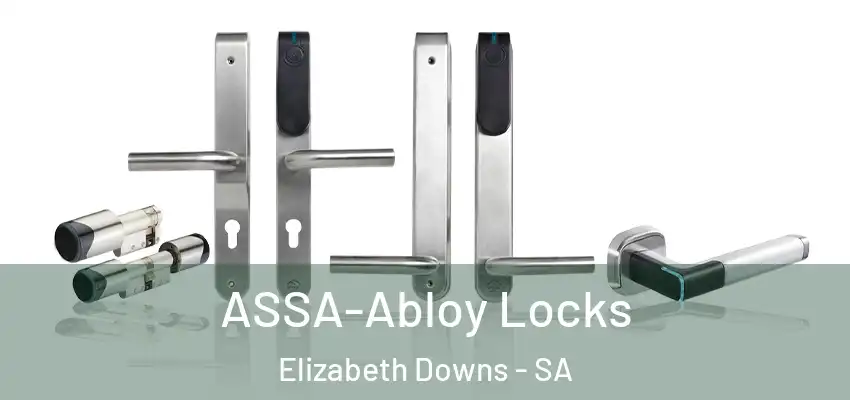 ASSA-Abloy Locks Elizabeth Downs - SA