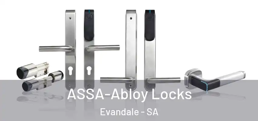  ASSA-Abloy Locks Evandale - SA