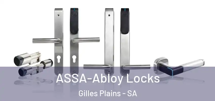 ASSA-Abloy Locks Gilles Plains - SA