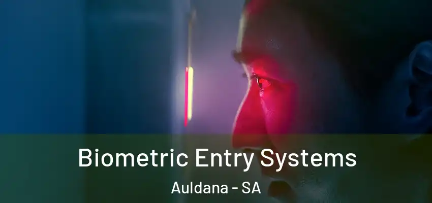 Biometric Entry Systems Auldana - SA