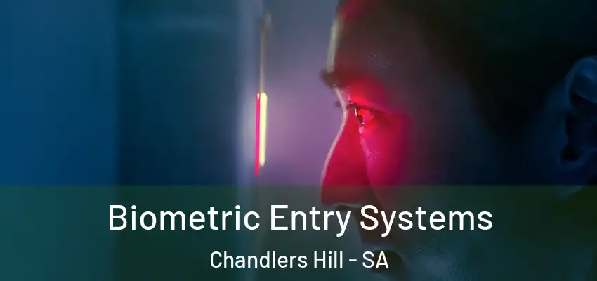 Biometric Entry Systems Chandlers Hill - SA
