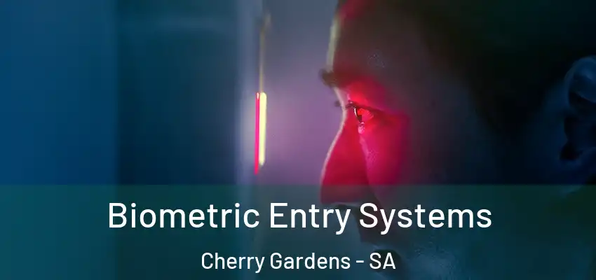 Biometric Entry Systems Cherry Gardens - SA