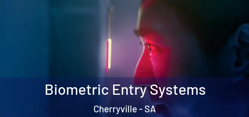 Biometric Entry Systems Cherryville - SA