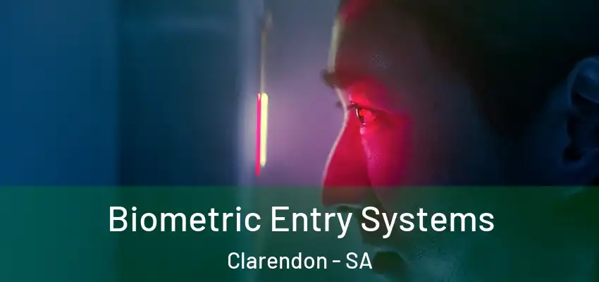 Biometric Entry Systems Clarendon - SA