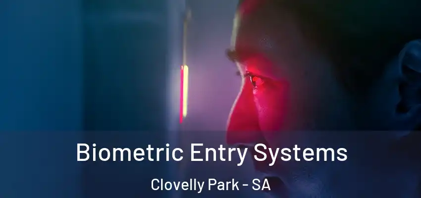 Biometric Entry Systems Clovelly Park - SA