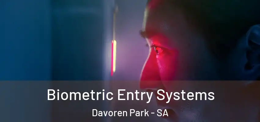 Biometric Entry Systems Davoren Park - SA