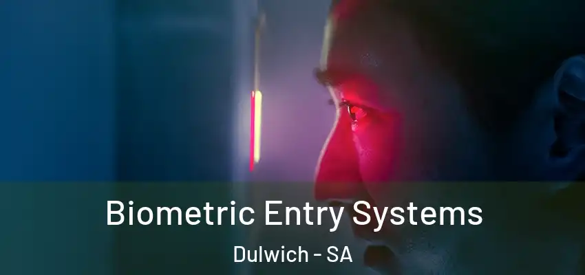  Biometric Entry Systems Dulwich - SA