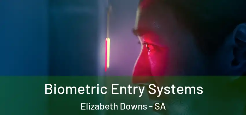 Biometric Entry Systems Elizabeth Downs - SA