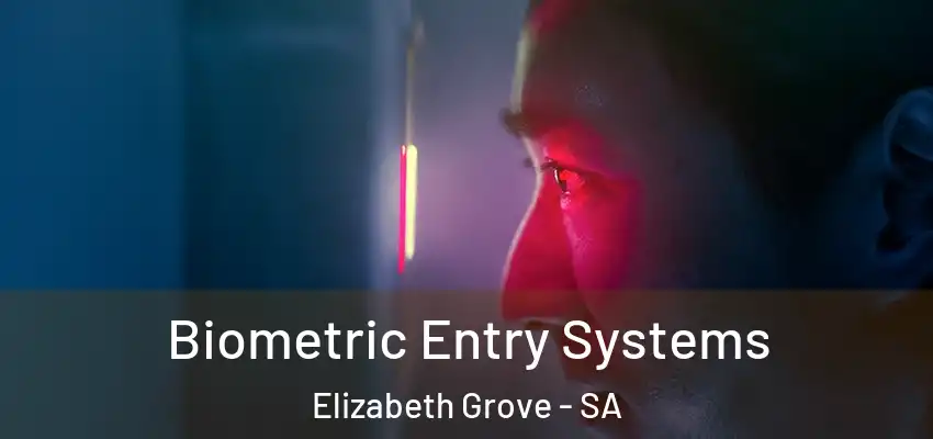  Biometric Entry Systems Elizabeth Grove - SA
