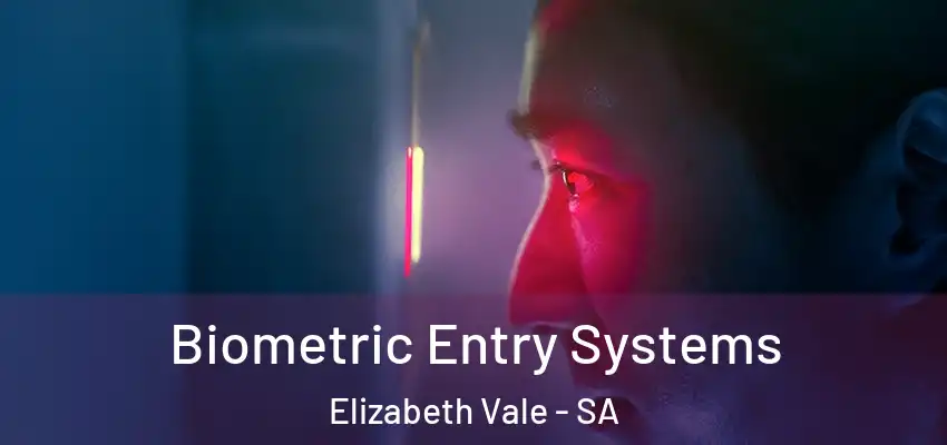  Biometric Entry Systems Elizabeth Vale - SA