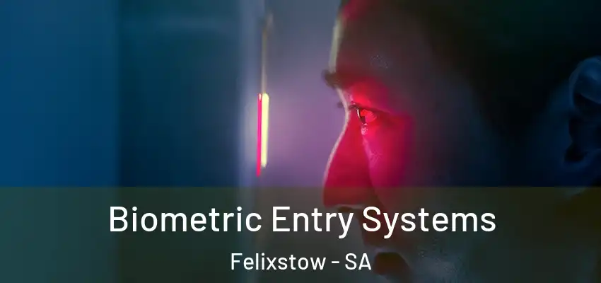 Biometric Entry Systems Felixstow - SA