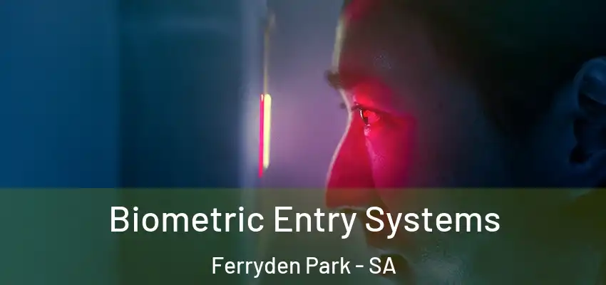  Biometric Entry Systems Ferryden Park - SA