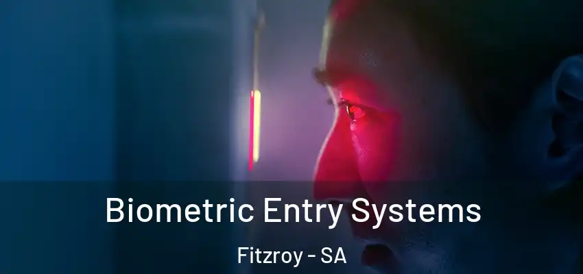 Biometric Entry Systems Fitzroy - SA