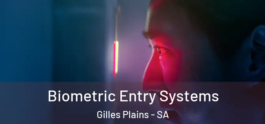  Biometric Entry Systems Gilles Plains - SA