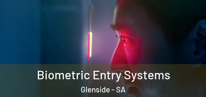 Biometric Entry Systems Glenside - SA