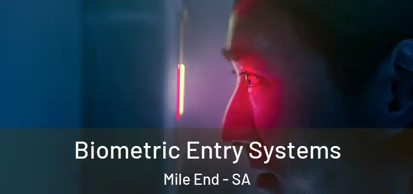 Biometric Entry Systems Mile End - SA