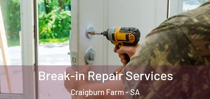 Break-in Repair Services Craigburn Farm - SA