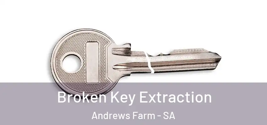 Broken Key Extraction Andrews Farm - SA