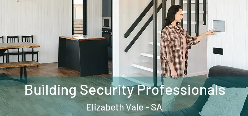 Building Security Professionals Elizabeth Vale - SA