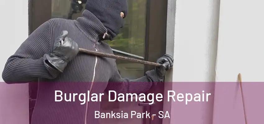 Burglar Damage Repair Banksia Park - SA