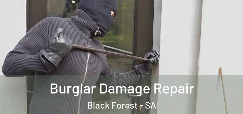 Burglar Damage Repair Black Forest - SA