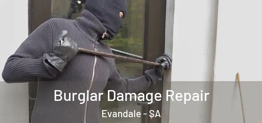 Burglar Damage Repair Evandale - SA