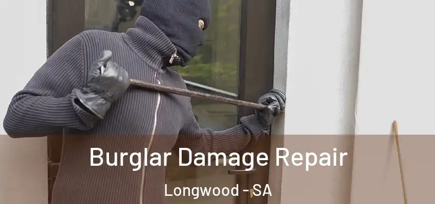 Burglar Damage Repair Longwood - SA