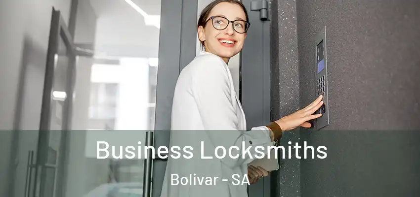 Business Locksmiths Bolivar - SA