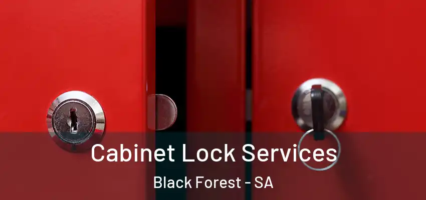  Cabinet Lock Services Black Forest - SA