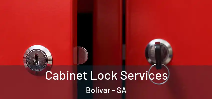 Cabinet Lock Services Bolivar - SA