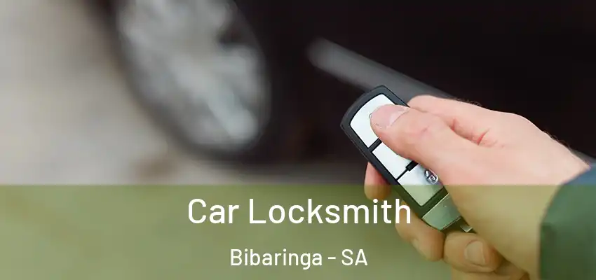 Car Locksmith Bibaringa - SA