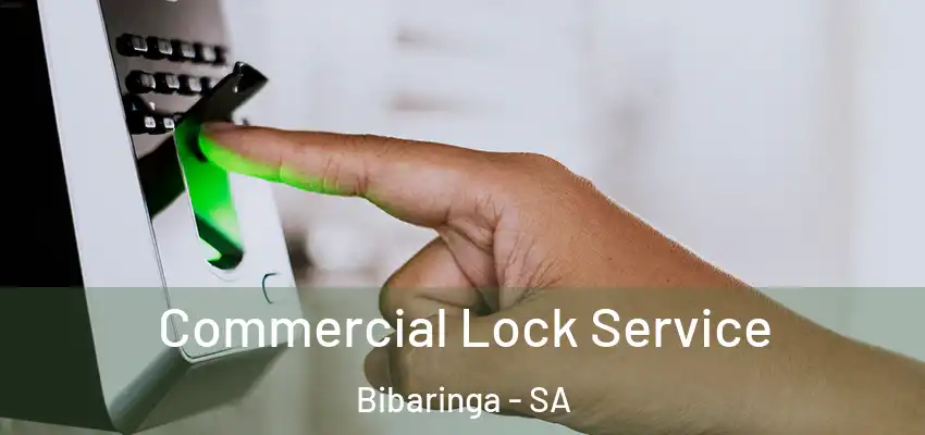 Commercial Lock Service Bibaringa - SA