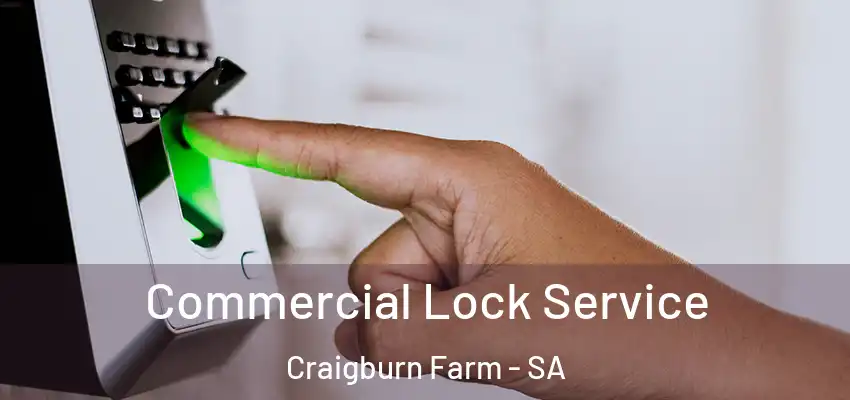 Commercial Lock Service Craigburn Farm - SA