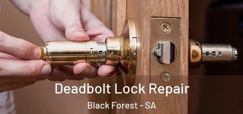 Deadbolt Lock Repair Black Forest - SA