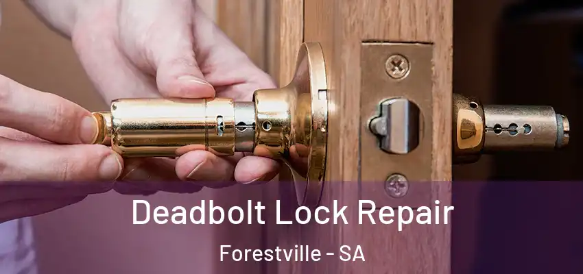 Deadbolt Lock Repair Forestville - SA