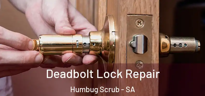 Deadbolt Lock Repair Humbug Scrub - SA