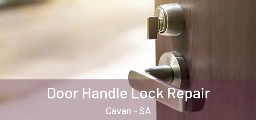 Door Handle Lock Repair Cavan - SA
