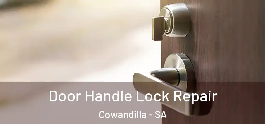 Door Handle Lock Repair Cowandilla - SA
