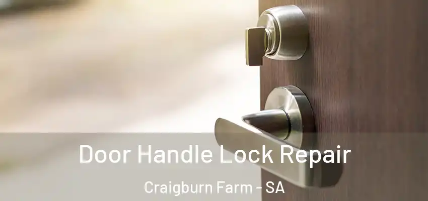 Door Handle Lock Repair Craigburn Farm - SA