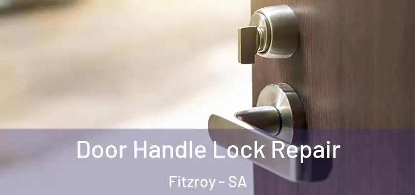 Door Handle Lock Repair Fitzroy - SA