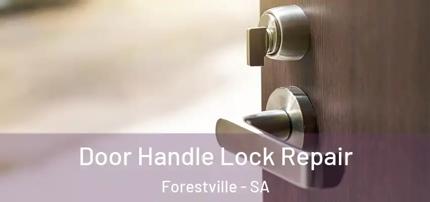 Door Handle Lock Repair Forestville - SA