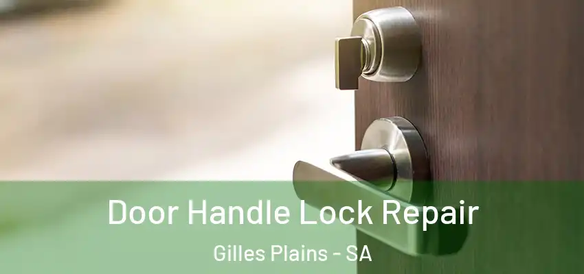  Door Handle Lock Repair Gilles Plains - SA