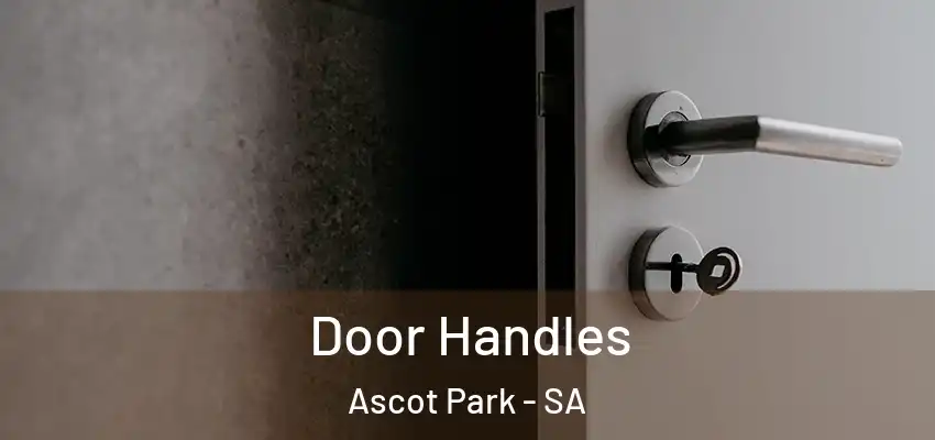 Door Handles Ascot Park - SA