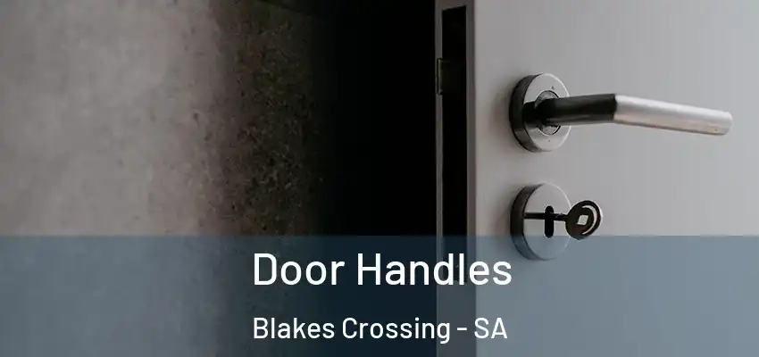 Door Handles Blakes Crossing - SA