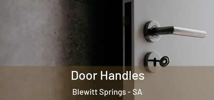 Door Handles Blewitt Springs - SA
