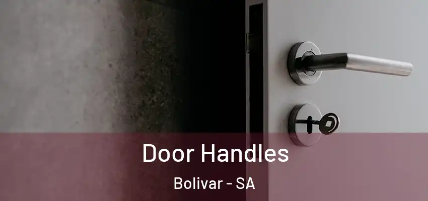 Door Handles Bolivar - SA
