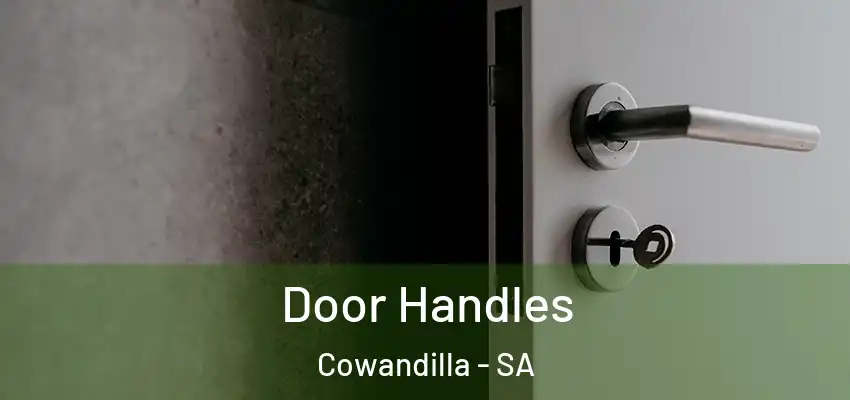 Door Handles Cowandilla - SA