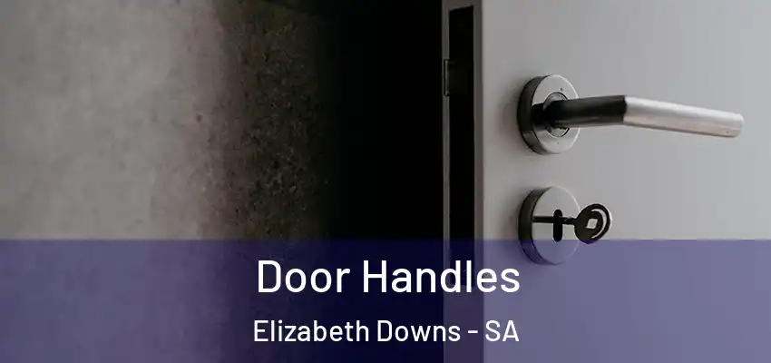 Door Handles Elizabeth Downs - SA